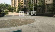 贵阳花园爆料最新消息视频,视频揭秘惊人内幕